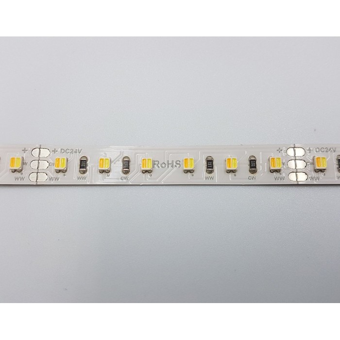 LED стрічка RISHANG 96-3528-24V-IP33 9W 2700K/6500K 5м (RD0096BC-B-MW)