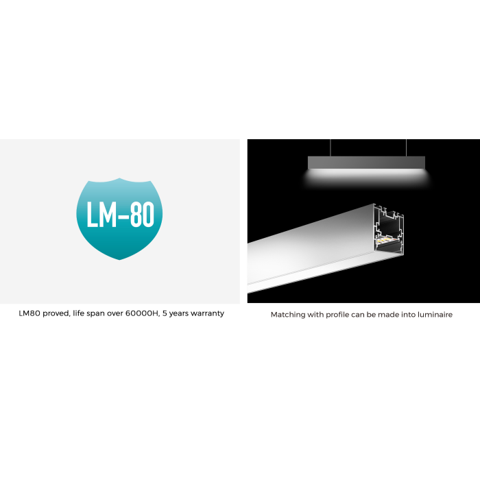LED стрічка COLORS 160-2835-24V-IP20 16.4W 2400Lm 3000K 5м (DS8160-24V-10mm-WW)