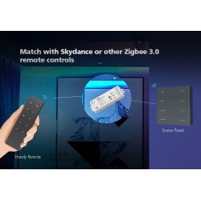 Пульт DEYA ZigBee CCT-контролера на 1 зону (R2(WZS)-White)