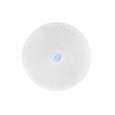 Світлодіодний світильник потолочний RADIUS-36