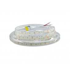 LED стрічка RISHANG 120-2835-24V-IP68 9.6W 979Lm 2700K 5м (RVA0C0TC-A-SW)