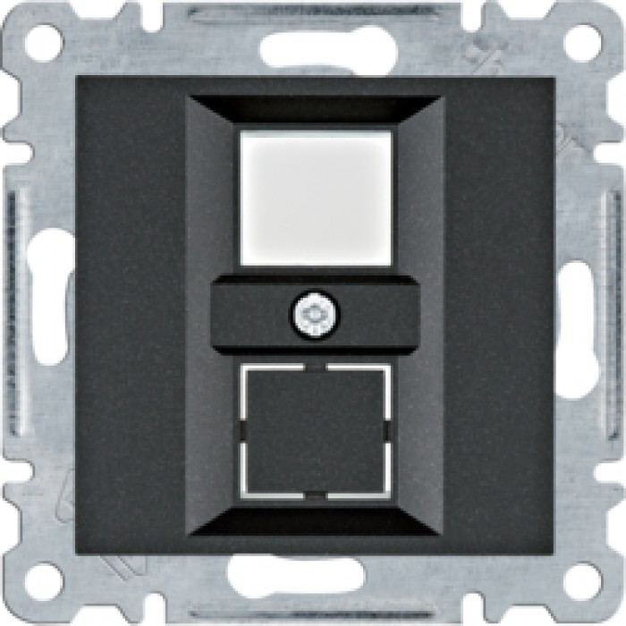 Панель подвійна для RJ12/RJ45 Lumina, чорна