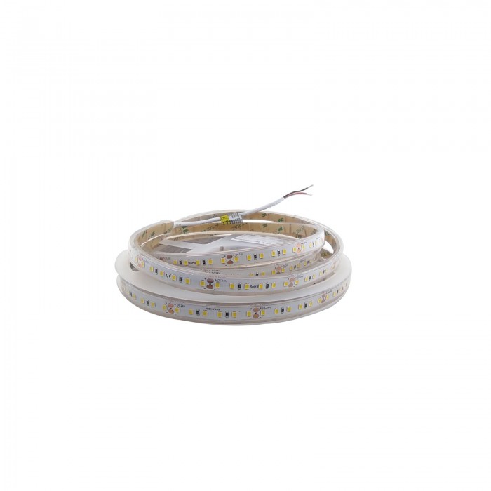 LED стрічка RISHANG 120-2835-24V-IP20 9.6W Blue 5м (RV08C0TC-A-B)