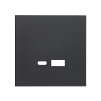 Фронтальна панель розетки-USB Fast-Charging 20W (type A+C), матовий чорний